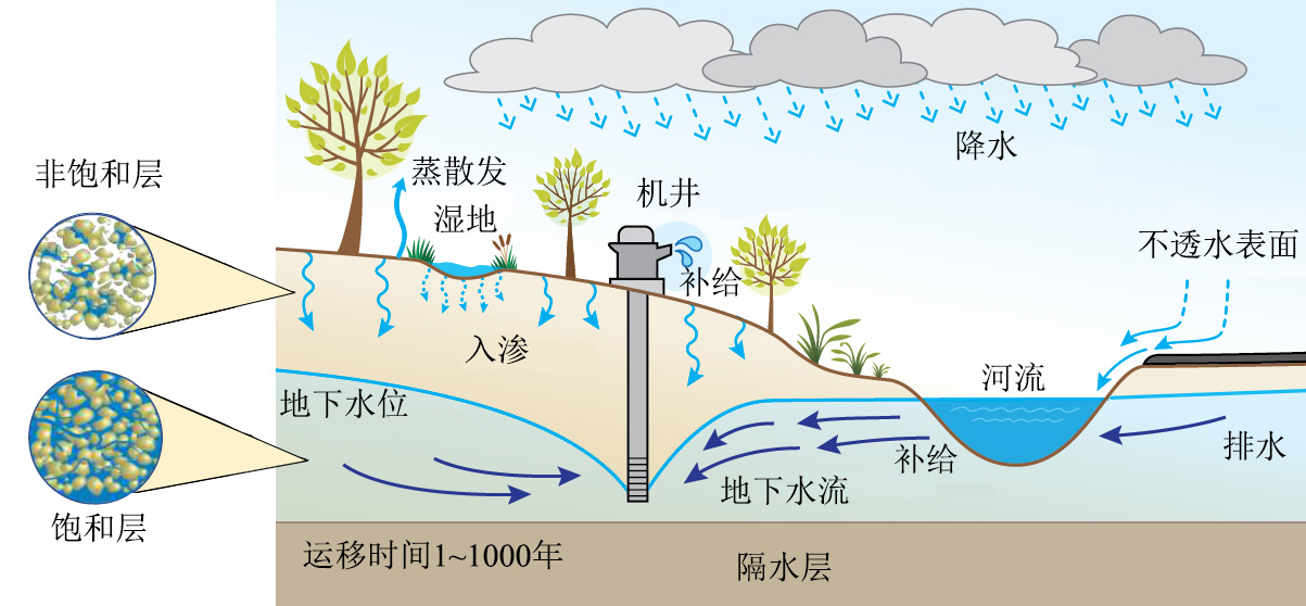 地下水系统动态模拟中的数值模型与机器学习模型对比研究docx