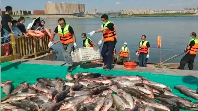 7fd92931f8ca4096bc8670f104a04c2a.jpg 7fd92931f8ca4096bc8670f104a04c2a.jpg