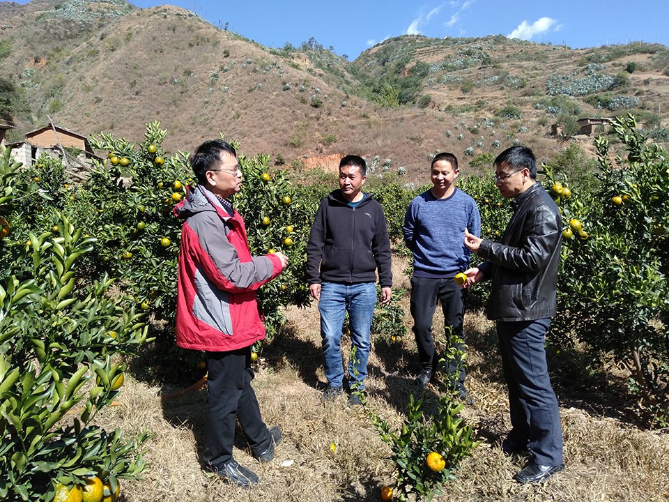 84729bdb239e450897bc0ae14309df72.jpg 84729bdb239e450897bc0ae14309df72.jpg