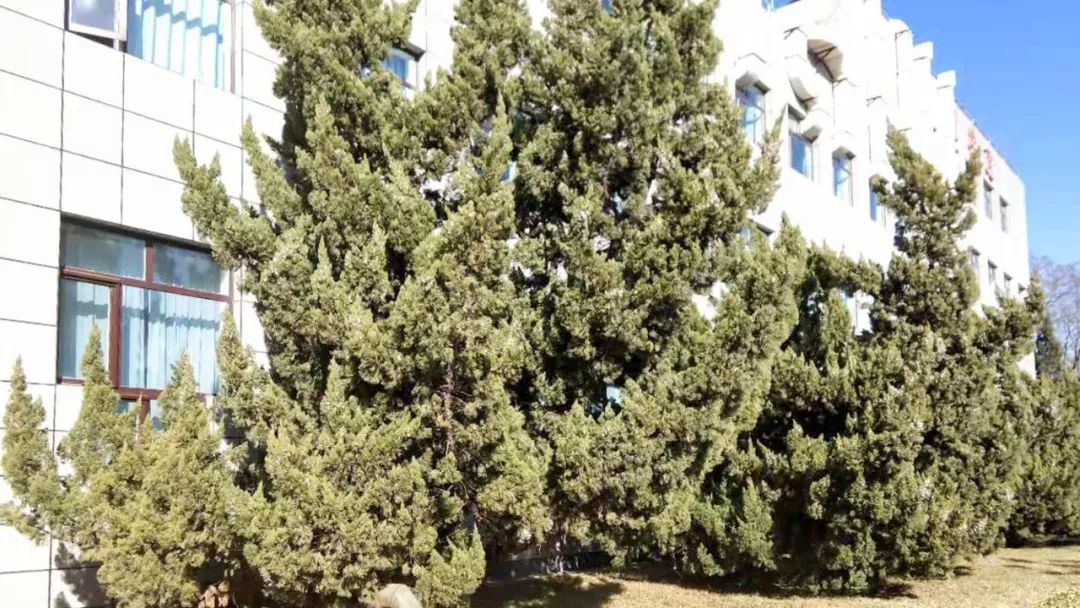 05ee206db331496faab8de1c99cb1adb.jpg 05ee206db331496faab8de1c99cb1adb.jpg