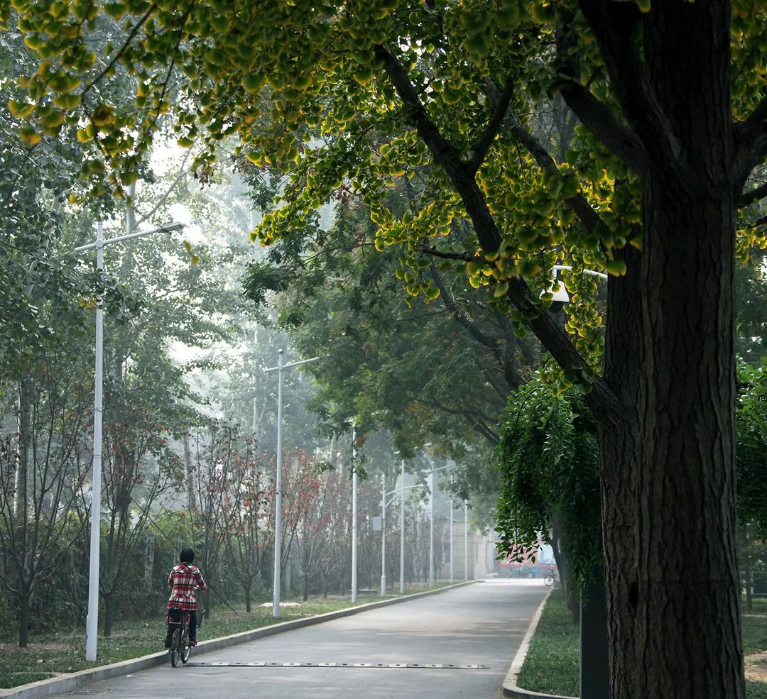 1312ad62e87546068cfdf4c40c83bd3e.jpg 1312ad62e87546068cfdf4c40c83bd3e.jpg