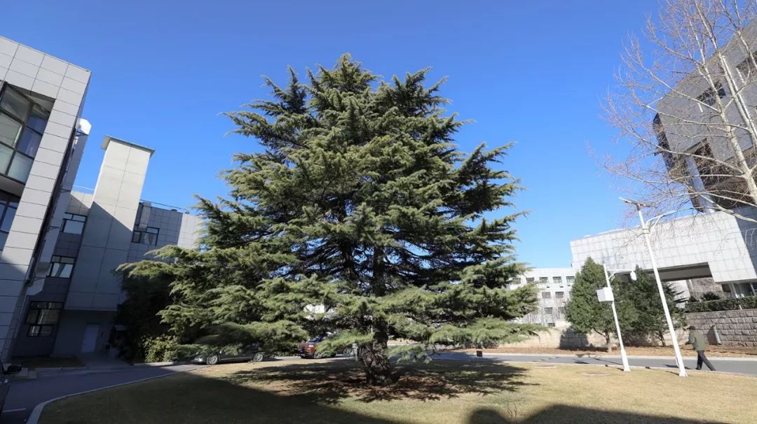 55fbd4cda95643c0bae8f31cda4aeb5e.jpg 55fbd4cda95643c0bae8f31cda4aeb5e.jpg