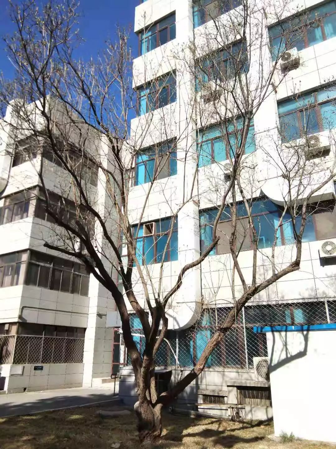 86ce56b6d98548d89444569e5abb048a.jpg 86ce56b6d98548d89444569e5abb048a.jpg