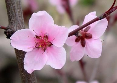 8f9d4613b77740818f75847422e94d7e.jpg 8f9d4613b77740818f75847422e94d7e.jpg