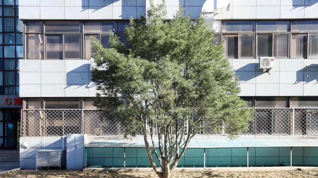 c88a27c8744f450183672d6efbbc675d.jpg c88a27c8744f450183672d6efbbc675d.jpg