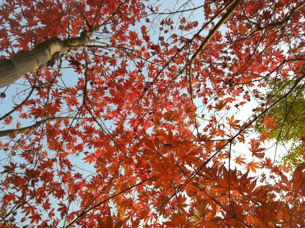 d0ca06626e054b2480a1548fd06a6135.jpg d0ca06626e054b2480a1548fd06a6135.jpg