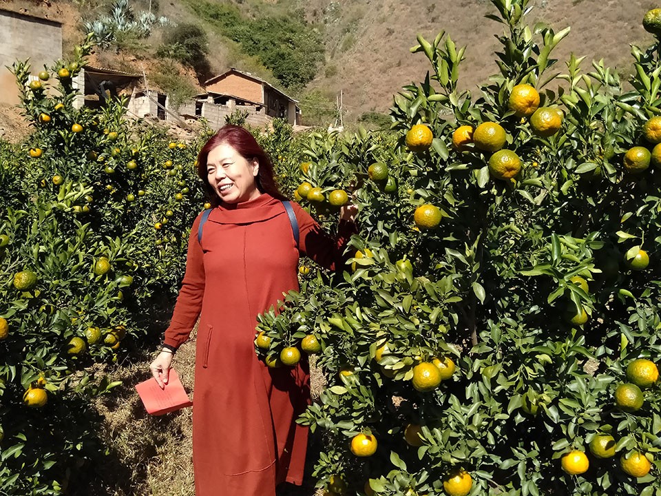 009fa890d3ac4533b8e2ee46fa1bef16.jpg 009fa890d3ac4533b8e2ee46fa1bef16.jpg