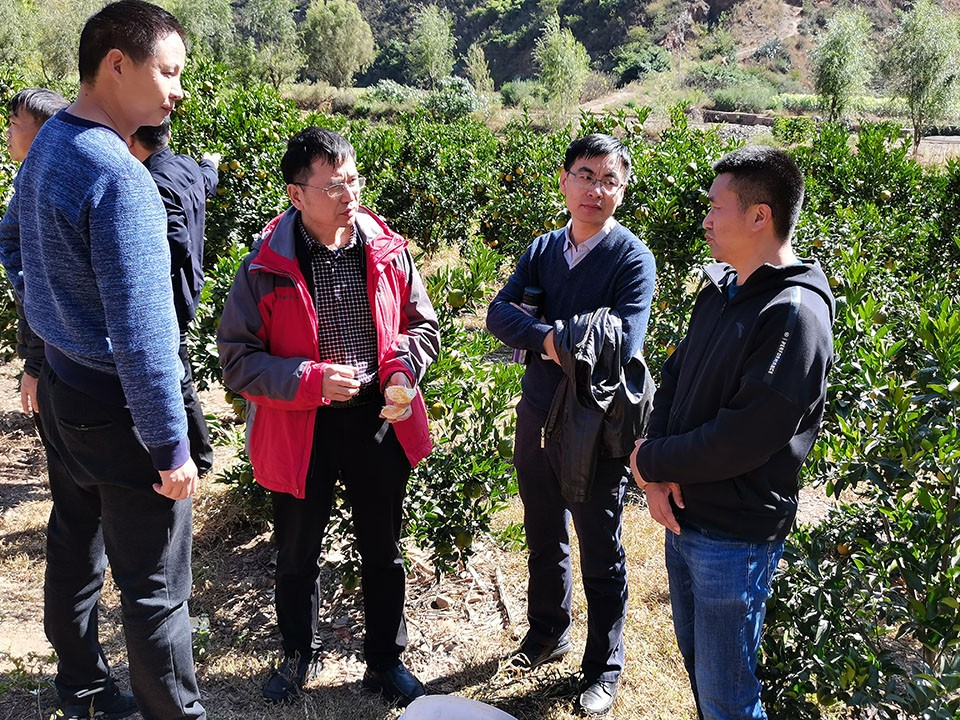 0c238f6f32ce45c6a8063f15c56bd2ba.jpg 0c238f6f32ce45c6a8063f15c56bd2ba.jpg