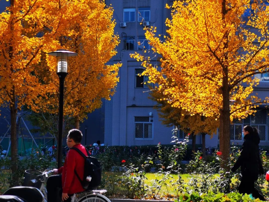 490f449d2c0e4062ac267655e06c0067.jpg 490f449d2c0e4062ac267655e06c0067.jpg