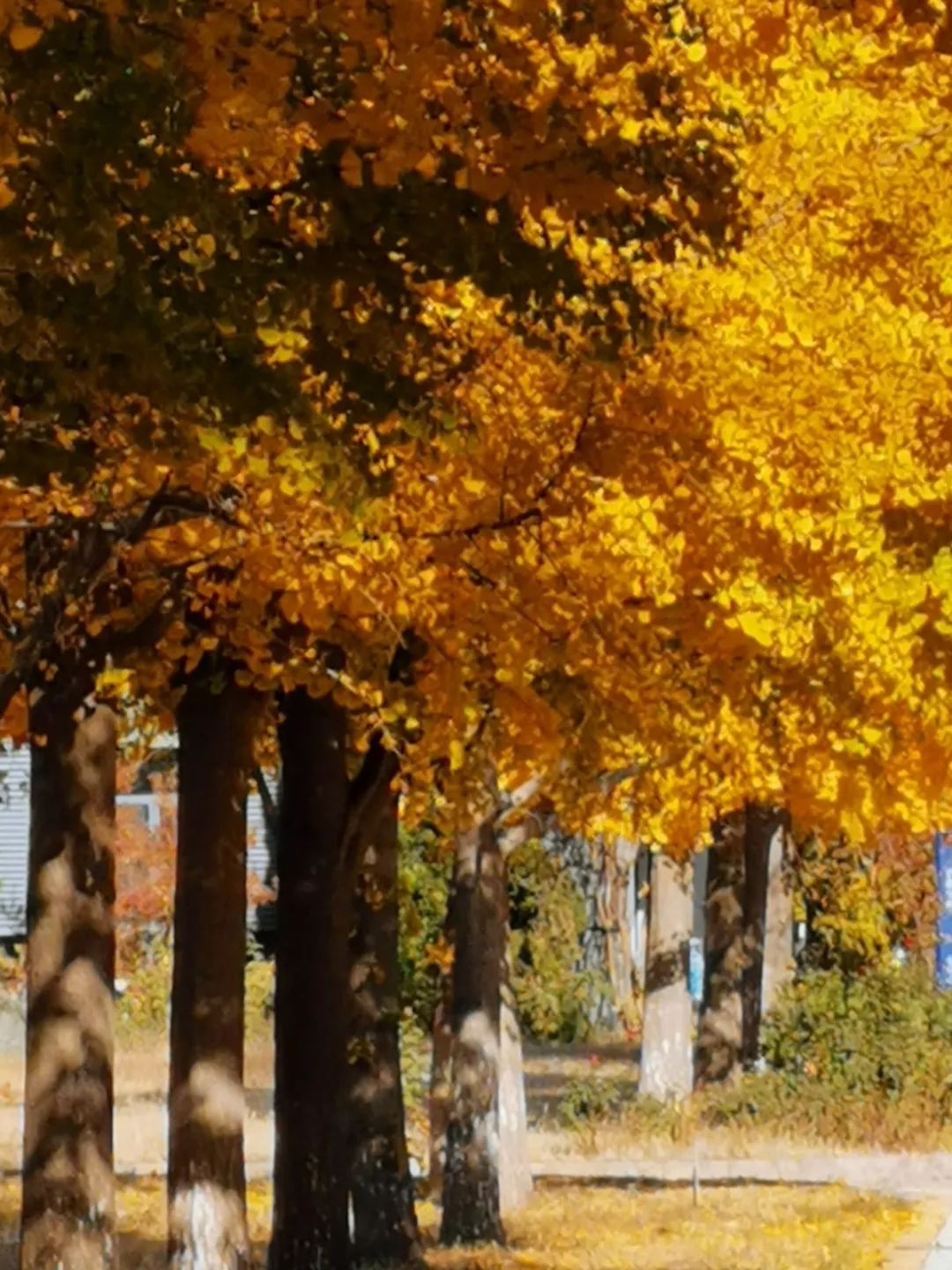 87da70f33cd54a22994af90a9a24cfae.jpg 87da70f33cd54a22994af90a9a24cfae.jpg