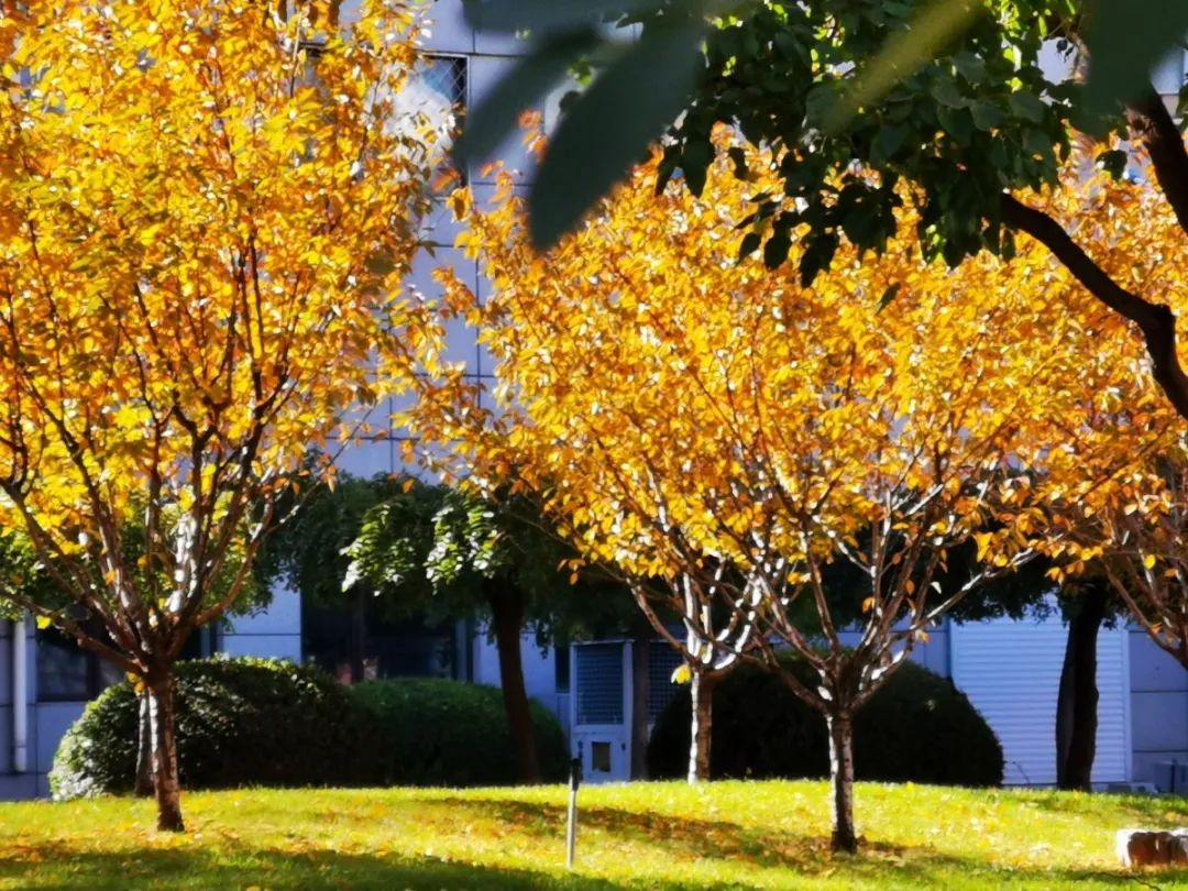 89e2fe7dc94a4d0e8a1eb3b50f7ee46e.jpg 89e2fe7dc94a4d0e8a1eb3b50f7ee46e.jpg