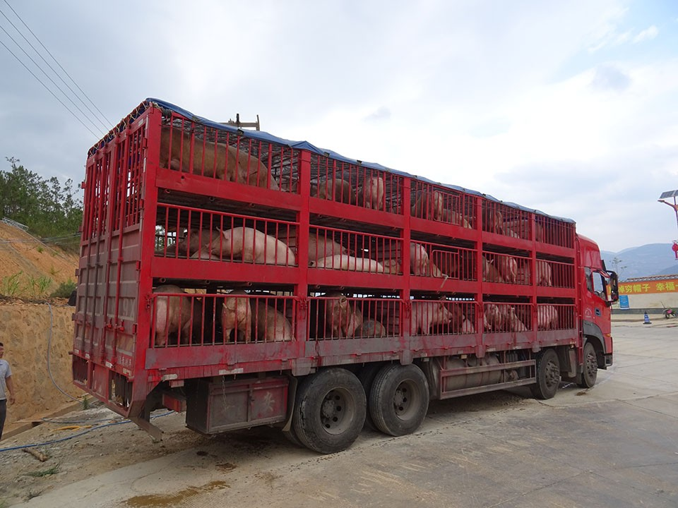 94cfa1c003aa4c719f6ed25b8421678a.png 94cfa1c003aa4c719f6ed25b8421678a.png