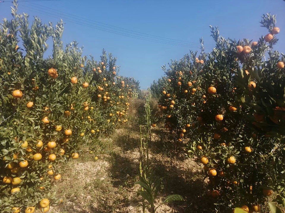 cd2c7697610240e184371976e5b215b3.jpg cd2c7697610240e184371976e5b215b3.jpg