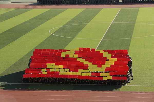 党徽字样 赵庭锐摄.JPG