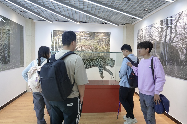 图片18.png
